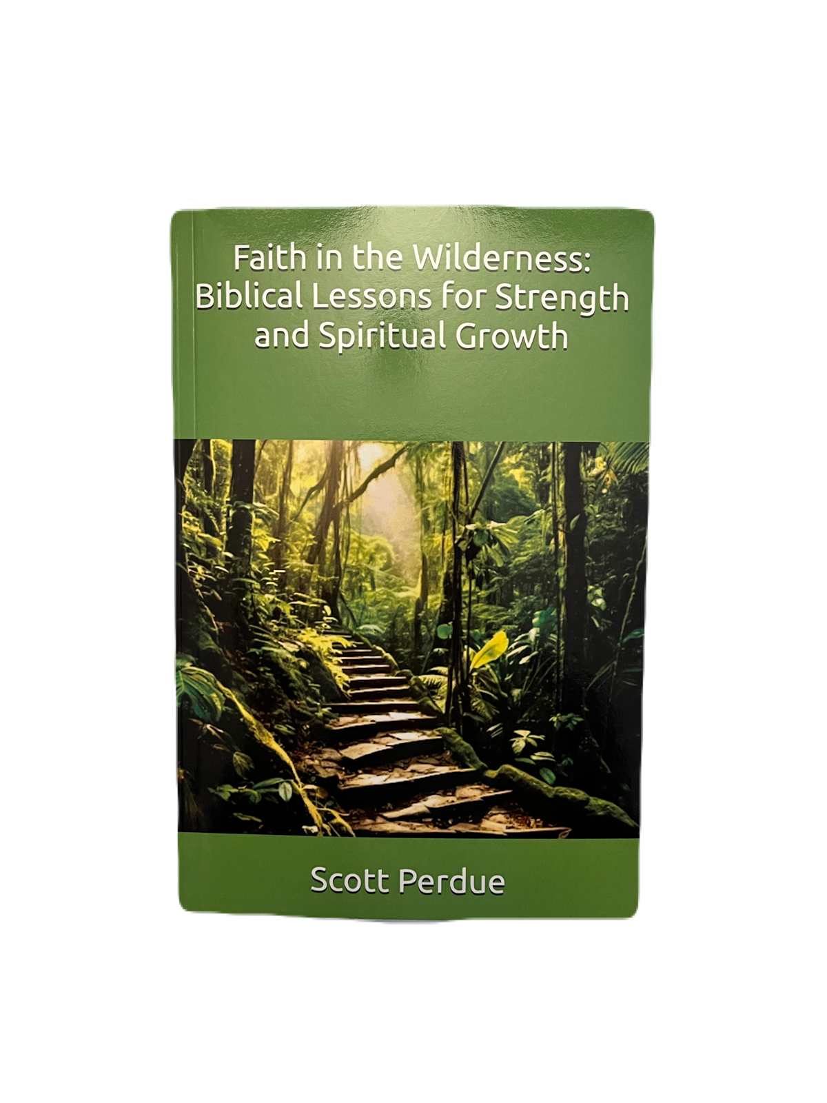 Faith In The Wilderness: Biblical Lessons For Strength And Spiritual Growth ~ Paperback Book Edition