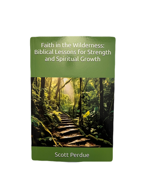 (X100 Books) Faith In The Wilderness: Biblical Lessons For Strength And Spiritual Growth ~ Bulk Books x100 Bundle