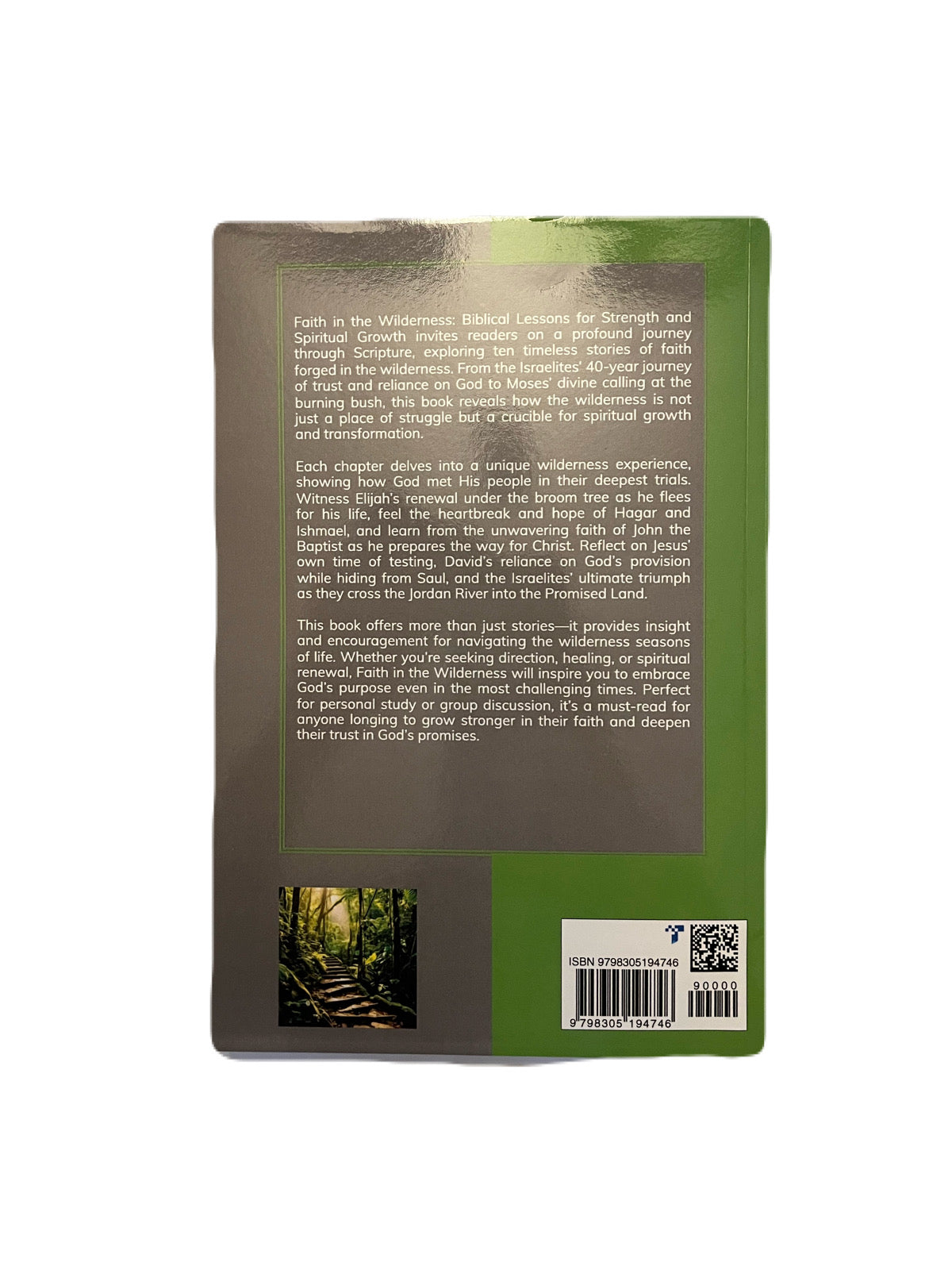 Faith In The Wilderness: Biblical Lessons For Strength And Spiritual Growth ~ Paperback Book Edition